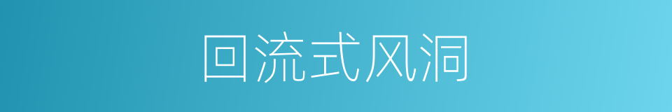 回流式风洞的同义词