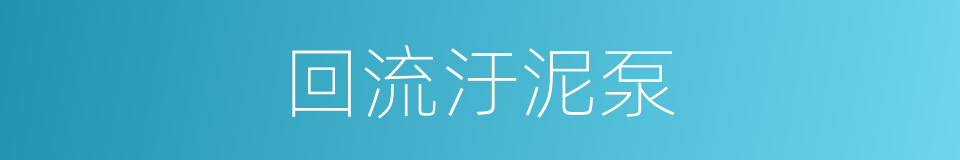 回流汙泥泵的同義詞