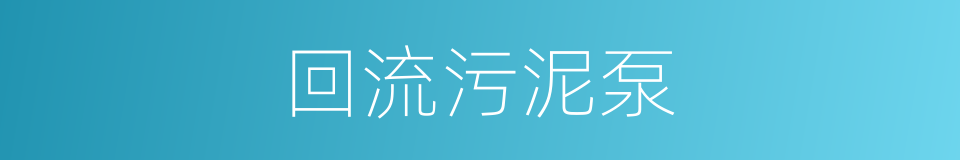 回流污泥泵的同义词