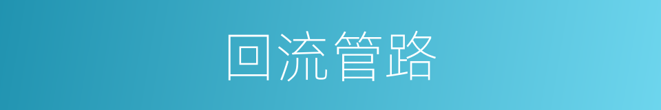 回流管路的同义词