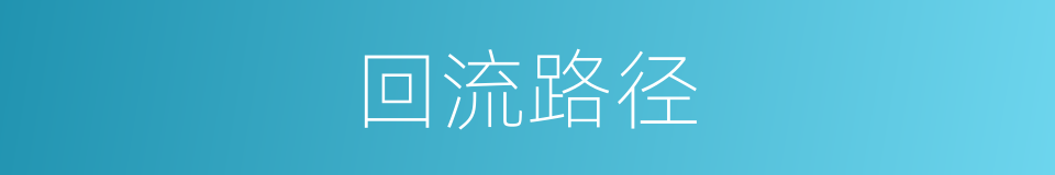 回流路径的同义词