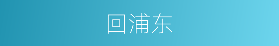 回浦东的同义词