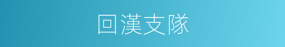 回漢支隊的同義詞