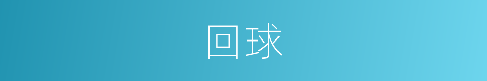 回球的同义词