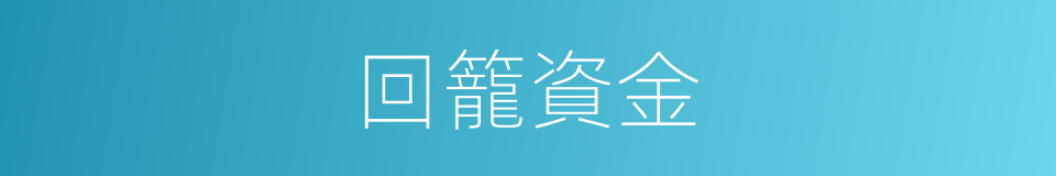 回籠資金的同義詞
