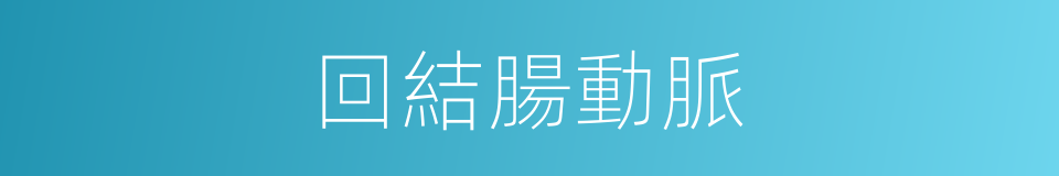 回結腸動脈的同義詞