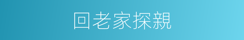 回老家探親的同義詞