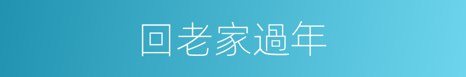 回老家過年的同義詞
