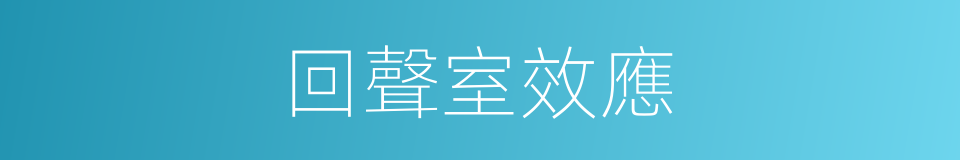 回聲室效應的同義詞