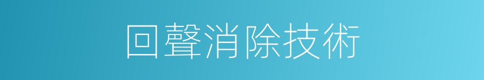 回聲消除技術的同義詞