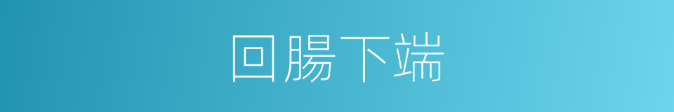 回腸下端的同義詞