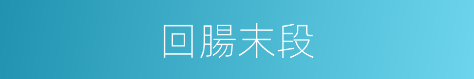 回腸末段的同義詞