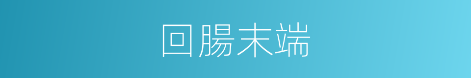 回腸末端的同義詞