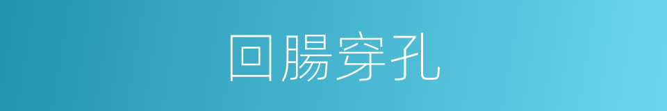 回腸穿孔的同義詞