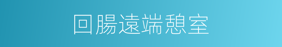 回腸遠端憩室的同義詞