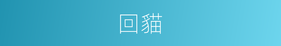 回貓的同義詞