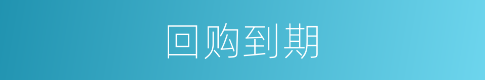 回购到期的同义词