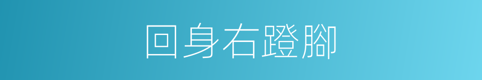回身右蹬腳的同義詞