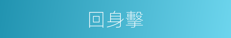 回身擊的同義詞