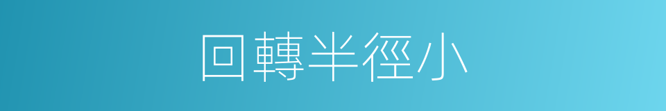 回轉半徑小的同義詞