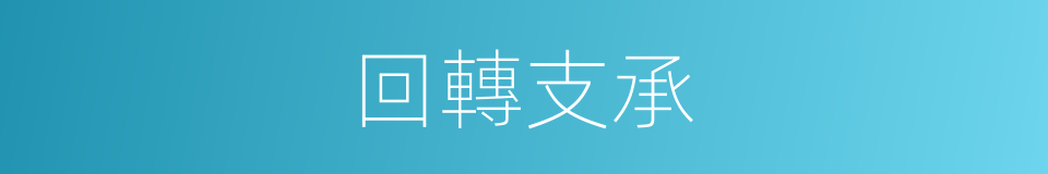 回轉支承的同義詞
