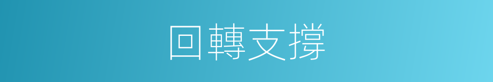 回轉支撐的同義詞