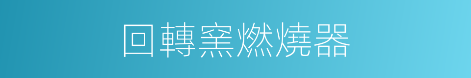回轉窯燃燒器的同義詞