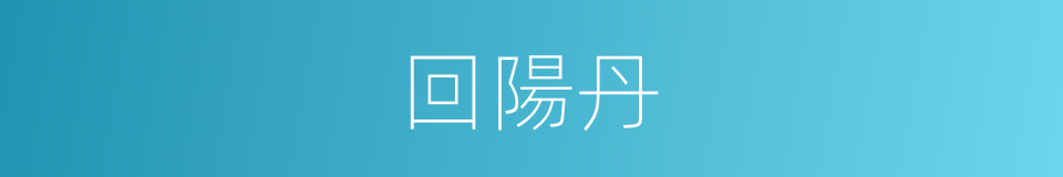 回陽丹的同義詞