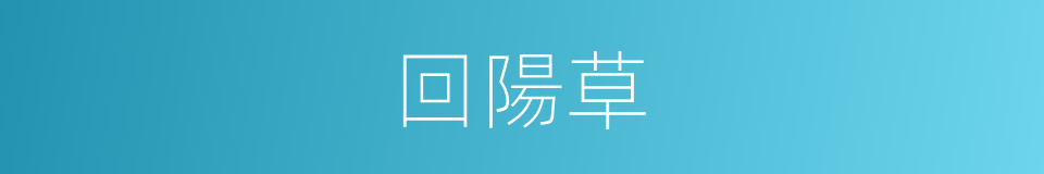 回陽草的同義詞