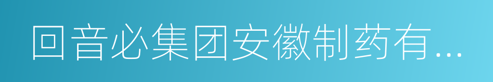 回音必集团安徽制药有限公司的同义词