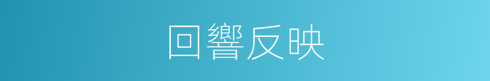 回響反映的同義詞