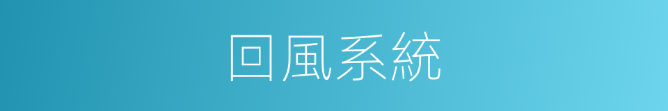 回風系統的同義詞