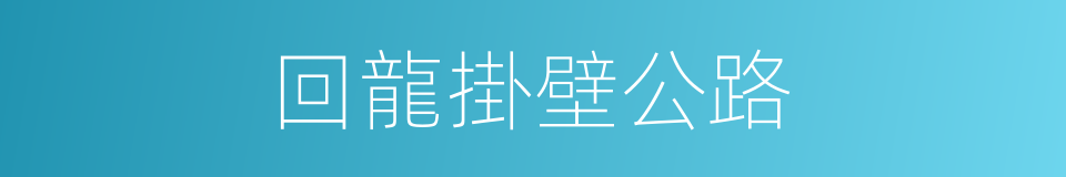 回龍掛壁公路的同義詞