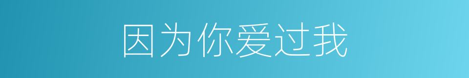 因为你爱过我的同义词