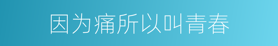 因为痛所以叫青春的同义词