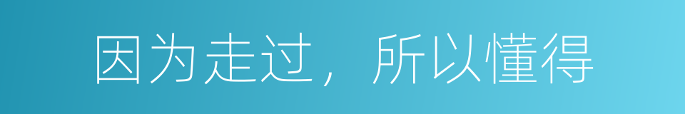 因为走过，所以懂得的同义词