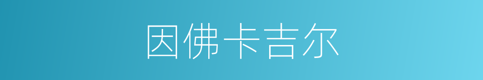因佛卡吉尔的同义词
