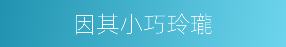 因其小巧玲瓏的同義詞