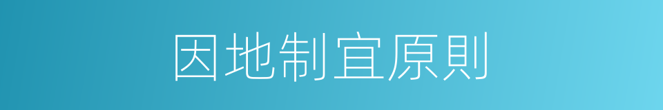 因地制宜原則的同義詞