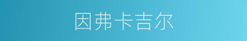 因弗卡吉尔的同义词