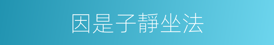 因是子靜坐法的同義詞