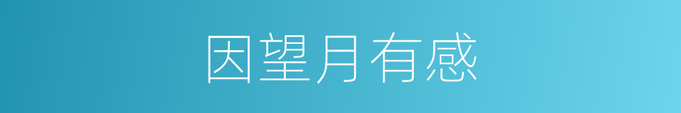 因望月有感的同义词