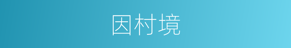 因村境的同义词