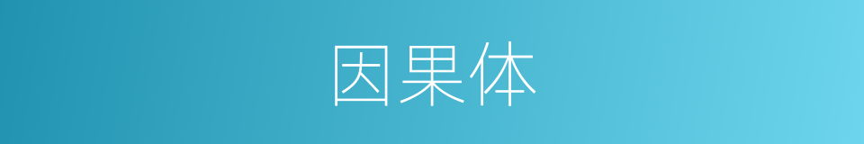 因果体的同义词