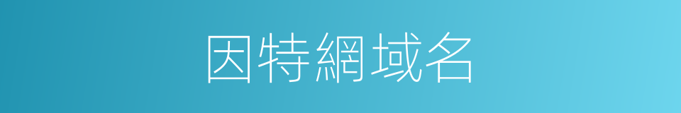 因特網域名的同義詞