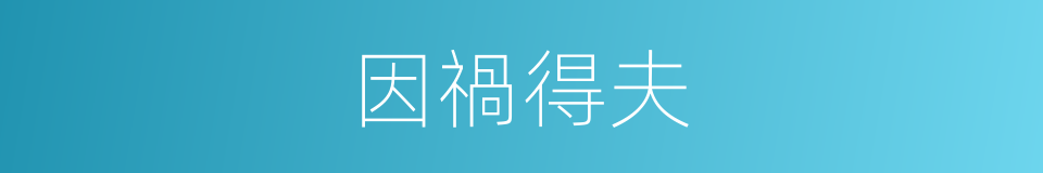 因禍得夫的同義詞