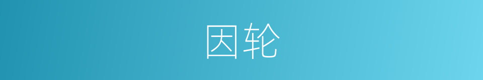 因轮的同义词