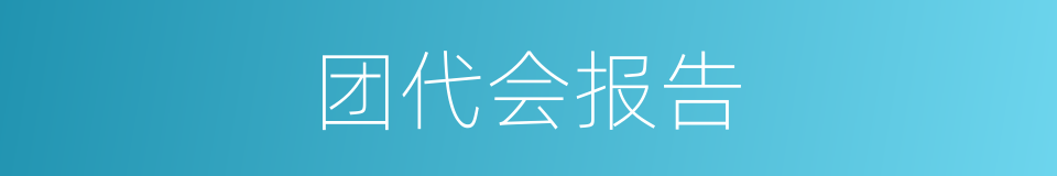 团代会报告的同义词