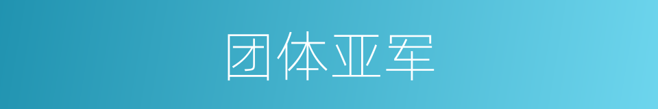 团体亚军的同义词