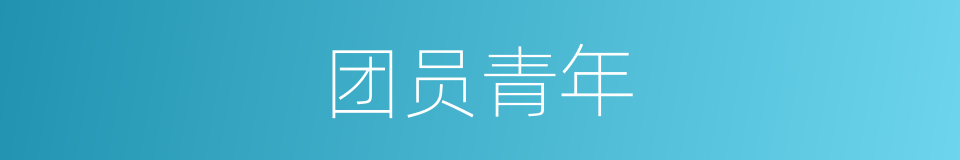 团员青年的同义词